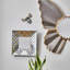 Spot On Square Wall Mirror