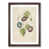 Walnut Framed