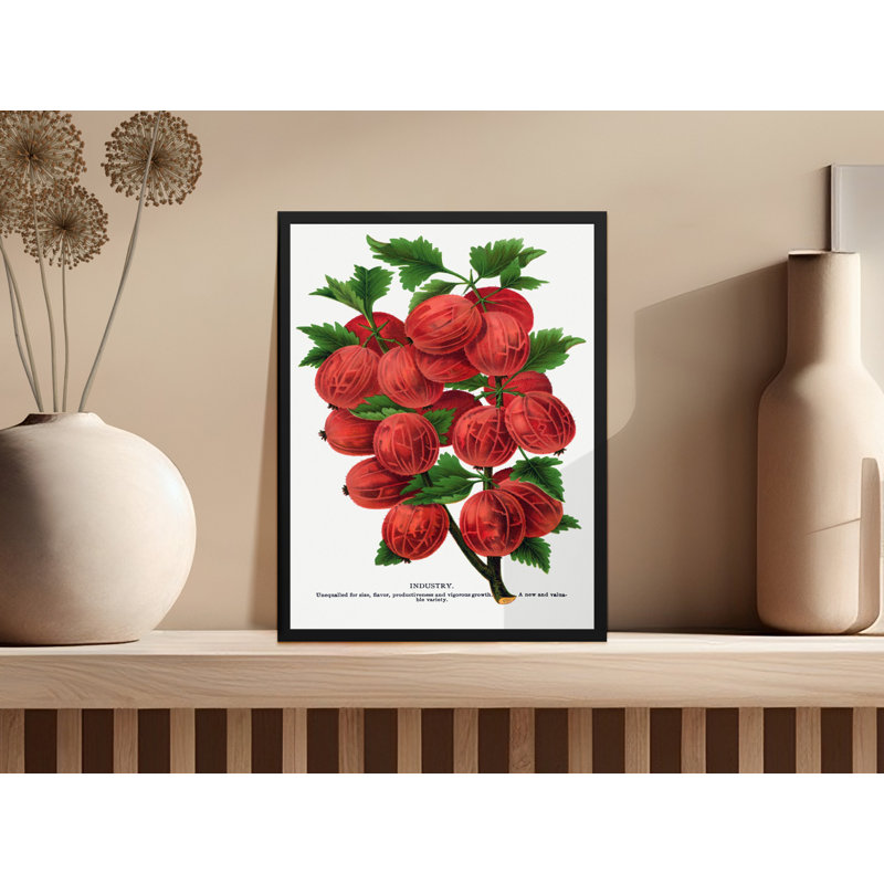 Charvi No Frame Print, 12x16