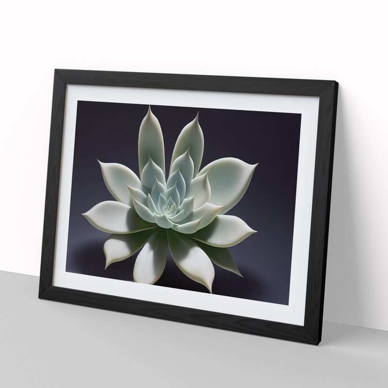 Exquisite Succulent Plant - Single Picture Frame Print, Black, 46cm H x 64cm W x 2cm D