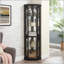 Vitrine de coin lumineuse avec portes en verre et tablettes réglables - noir-131096756