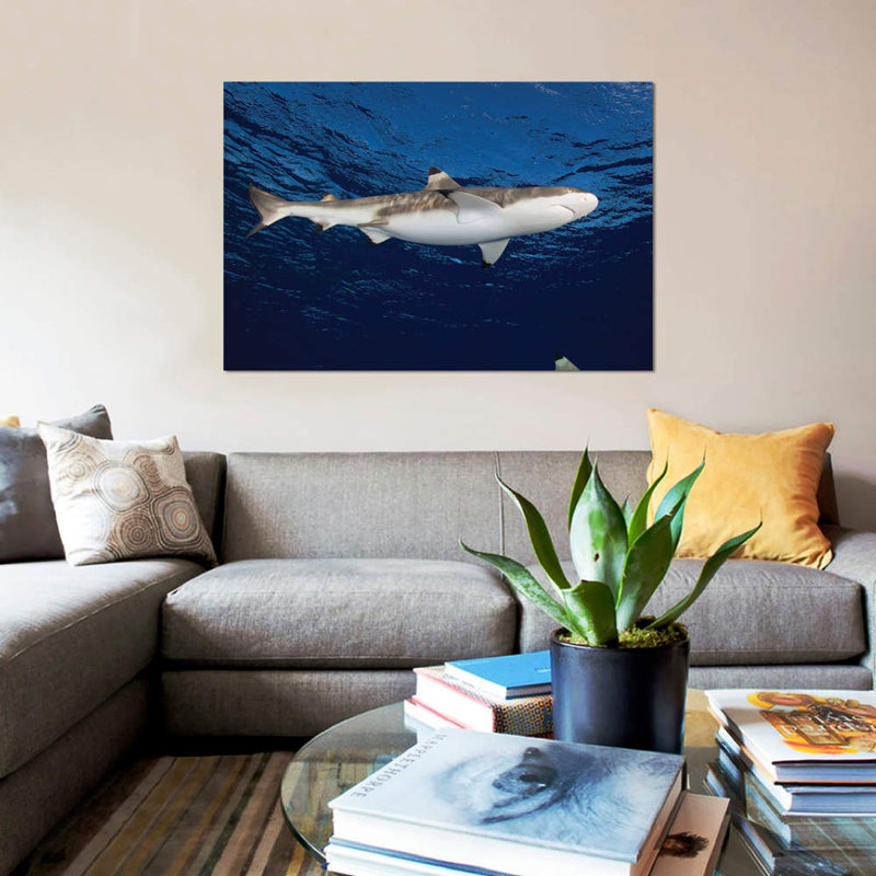 " Blacktip Reef Shark, Yap, Micronesia I " by Andreas Schumacher, 8" H x 12" W x 0.75" D, Wrapped Canvas, No Mat