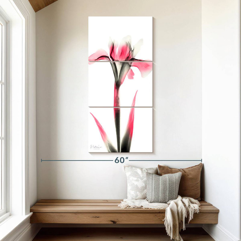 Iris rose infusé I, H 52 po x l 24 po