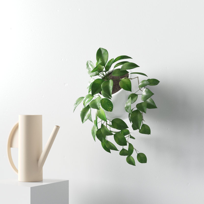 Hilaria Ceramic Wall Planter, 3.5'' H x 4'' W x 5" D, Glossy White