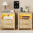 17.7'' W 2-Drawer Nightstand with LED Light (Set of 2)-1545425523