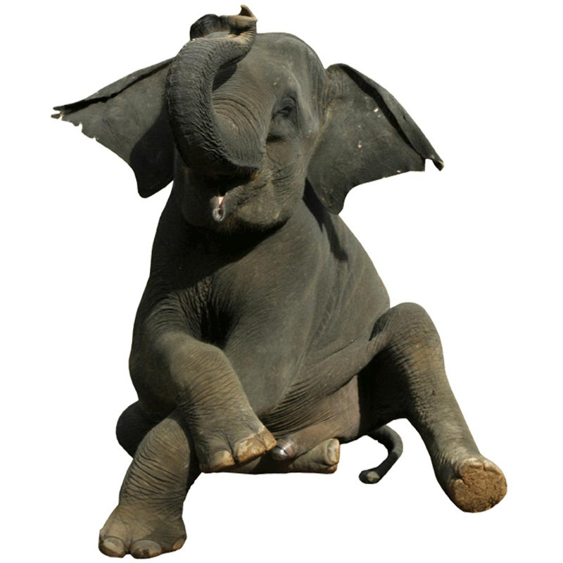Animals Non-Wall Damaging Wall Decal, 36" H x 29.5" W