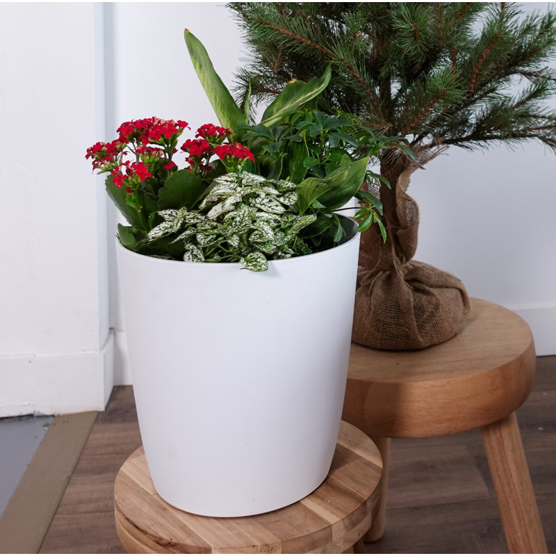 Aria Round Self Watering Planter, 12.07" H x 12" W x 12" D, White