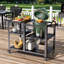 Chariot de barbecue extérieur en acier inoxydable