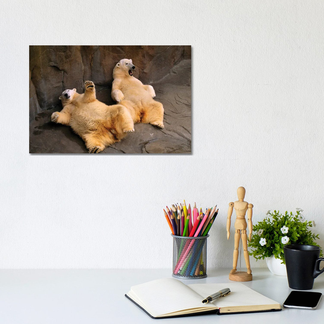 Two Lounging Polar Bears At Omaha's Henry Doorly Zoo And Aquarium von Joel Sartore - Gallery-Wrapped Canvas Giclée