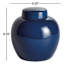 Francina Handmade Ceramic Ginger Jar-1674086785-1674212023