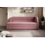 Shamirra 2 Seater Sofa Bed-681575044