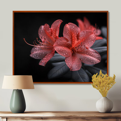 Rose, noir, rhododendron, fleur de minuit I - salon d'art mural rhododendron
