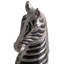 Animals Statue