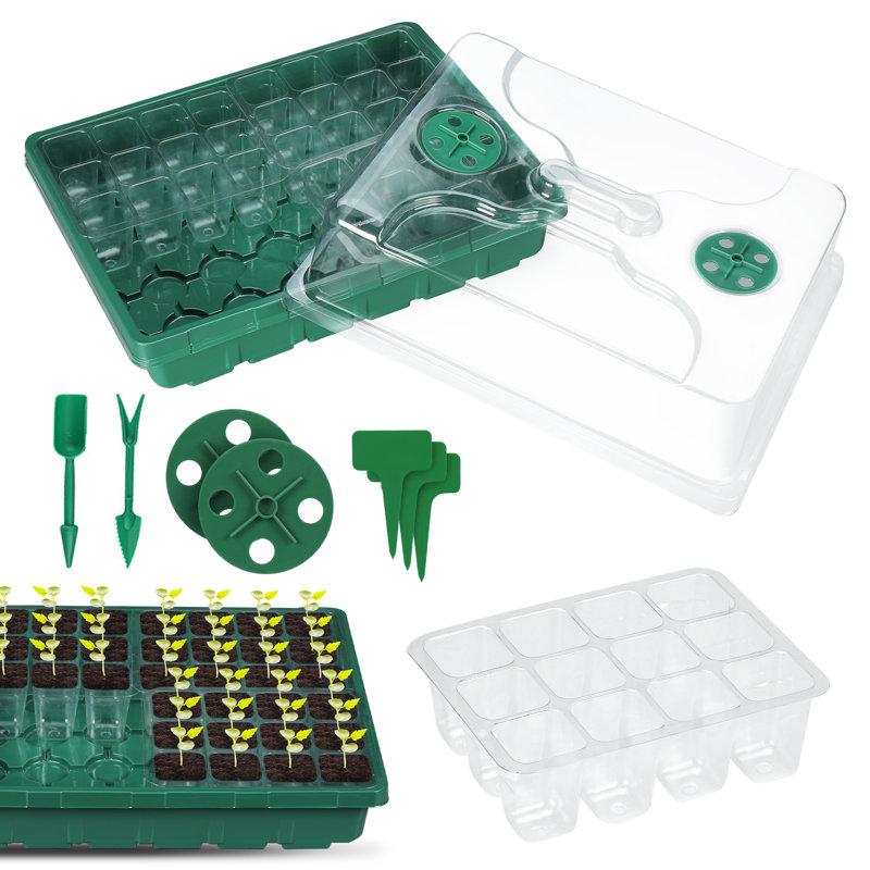 Trousse de croissance, Vert