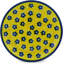Assiette de poterie 4 po Sunshine