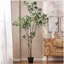 ARBRE À PIERIS 240CMTIFTIFS-954770911