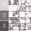 Touche 2" Square 11-3/4 In. X 11-3/4 In. Porcelain Mosaic Tile-1391669825