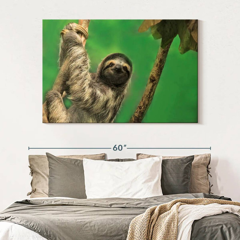 Clinging Sloth, 34" H x 51" W
