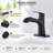 Single-Handle Bathroom Faucet with 20" Pull-Out Sprayer with 2 Spray Settings-134912247
