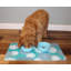 Napperon pour animal de compagnie, tapis d'alimentation pour chien et chat - Tissu absorbant, envers imperméable, antidérapant, lavable à la machine (turquoise et blanc) (12 po x 20 po) (fabriqué aux États-Unis)-59762537