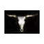 Cow Skull by PHBurchett - Wrapped Canvas Print-1720066423