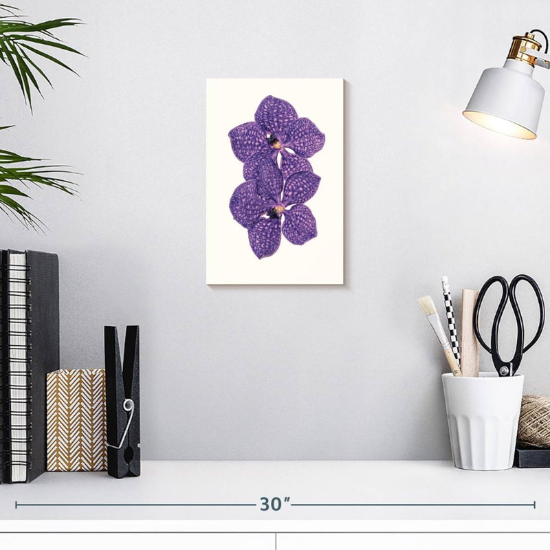 Harnek Curious Collections Flower VI, H 12 po x l 8 po