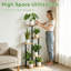 5 Tier Plant Stand
