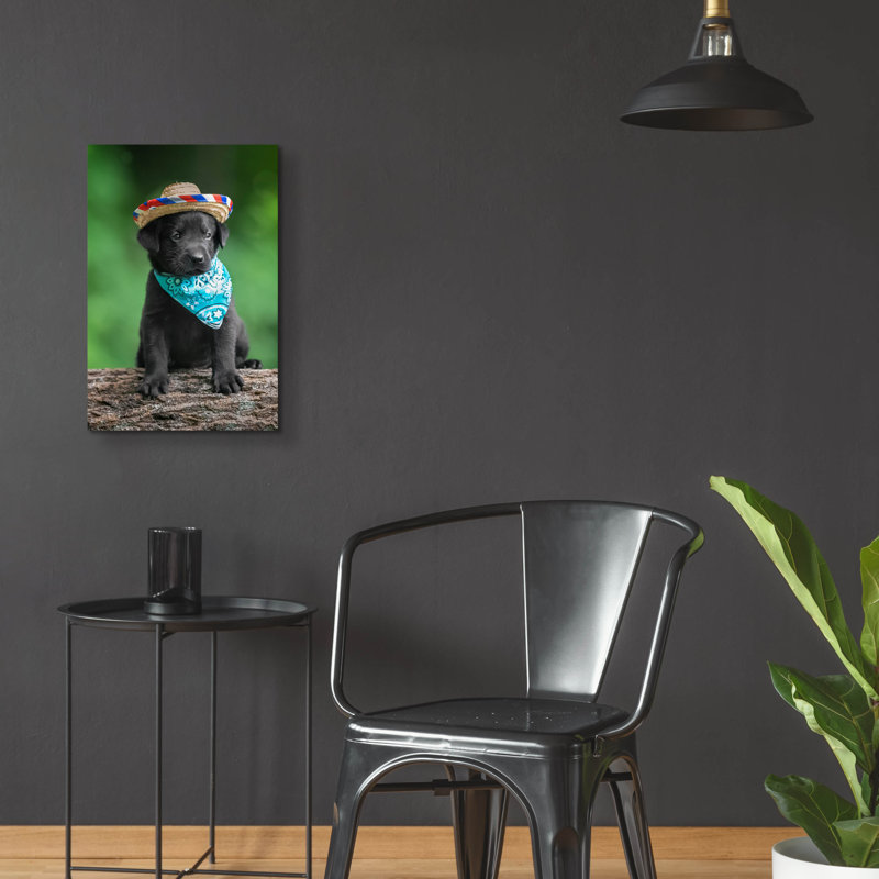 «Black Lab Pup 6» par Jonathan Ross, H 24 po x l 16 po x P 0,2 po