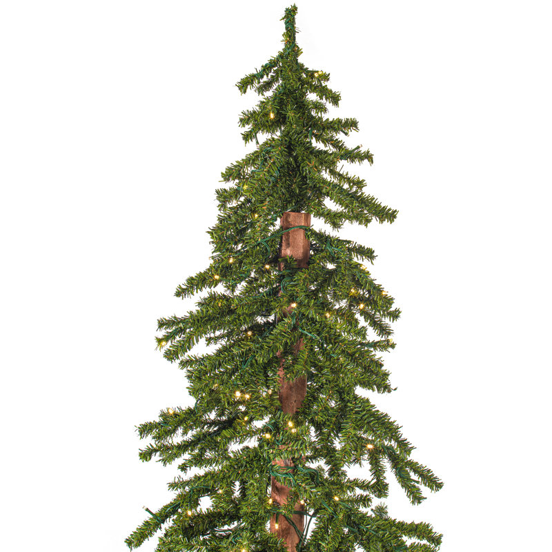 Alpine 1221T 3mm 400CC Vickerman 8 pi x 50 po, 8 pi x 50 po