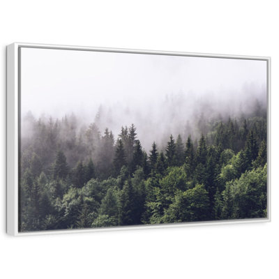 Hazy Pine Forest