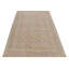 Hand Knotted Area Rug in Beige/Brow/Blue