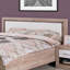 Taron Upholstered Faux Leather Bed