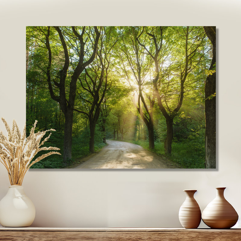 Soirée dans la forêt verte - photographie, Toile tendue, H 34 po x l 44 po