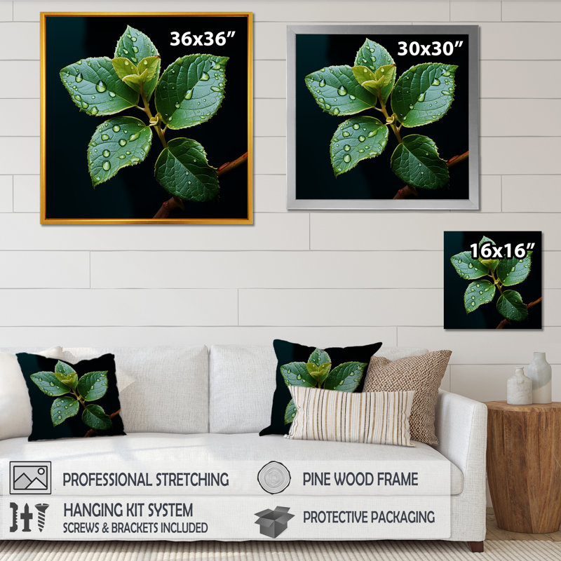 " Teal Tranquility Leaf Expression I ", Black Single Picture Framed, 24" H x 24" W x 1" D