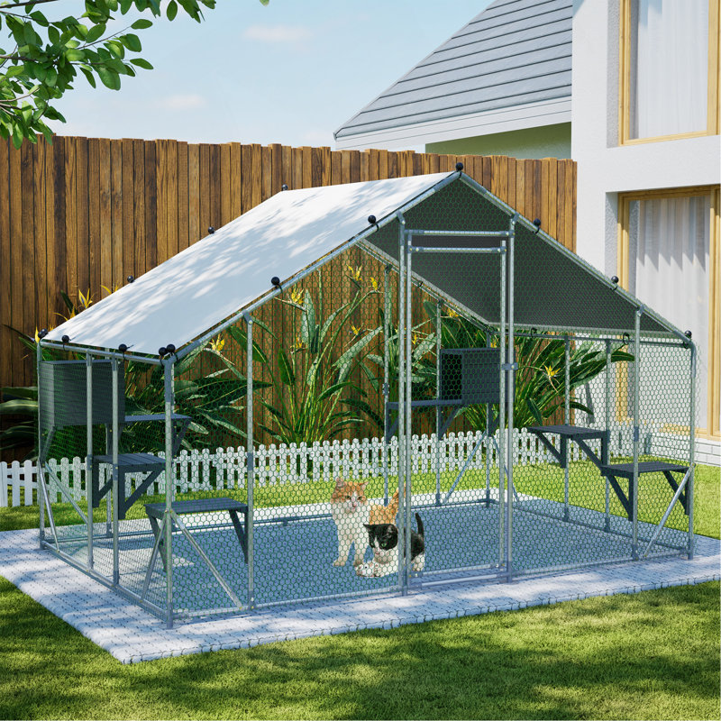 Cage à chat d'extérieur en métal extra robuste 3X2m