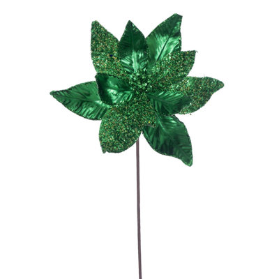 Tiges de poinsettia