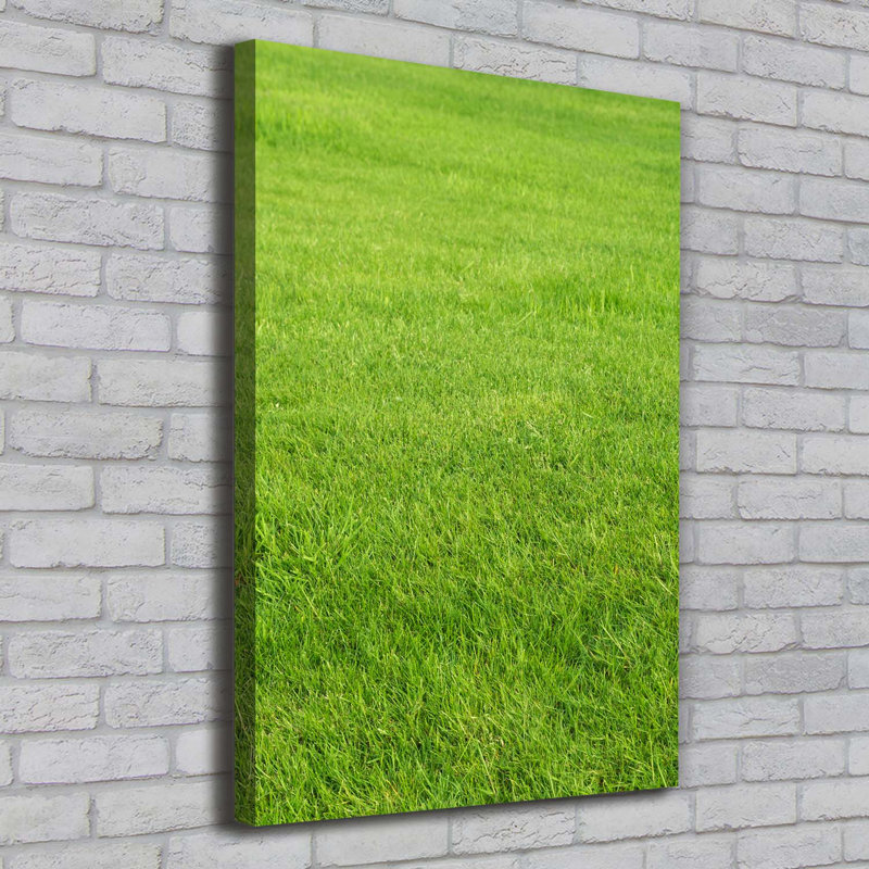 Green Grass - Wrapped Canvas Print