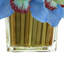Orchids Arranged in Bamboo-Filled Glass Vase-1508589933