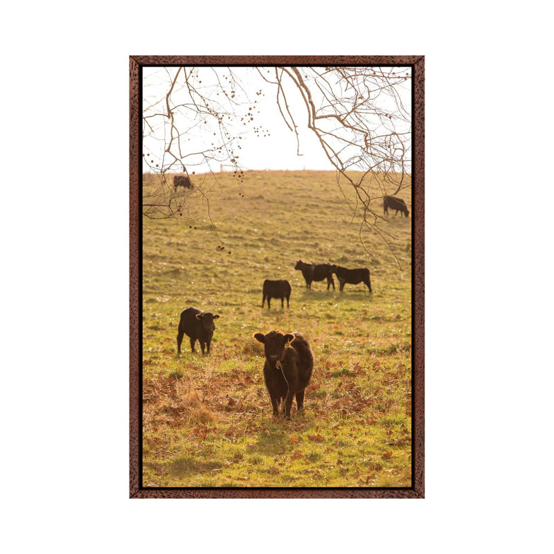 Fall Field II by Aledanda - Print on Canvas, Classic Brown Wood Framed, 101.6cm H x 66.04cm W x 3.81cm D