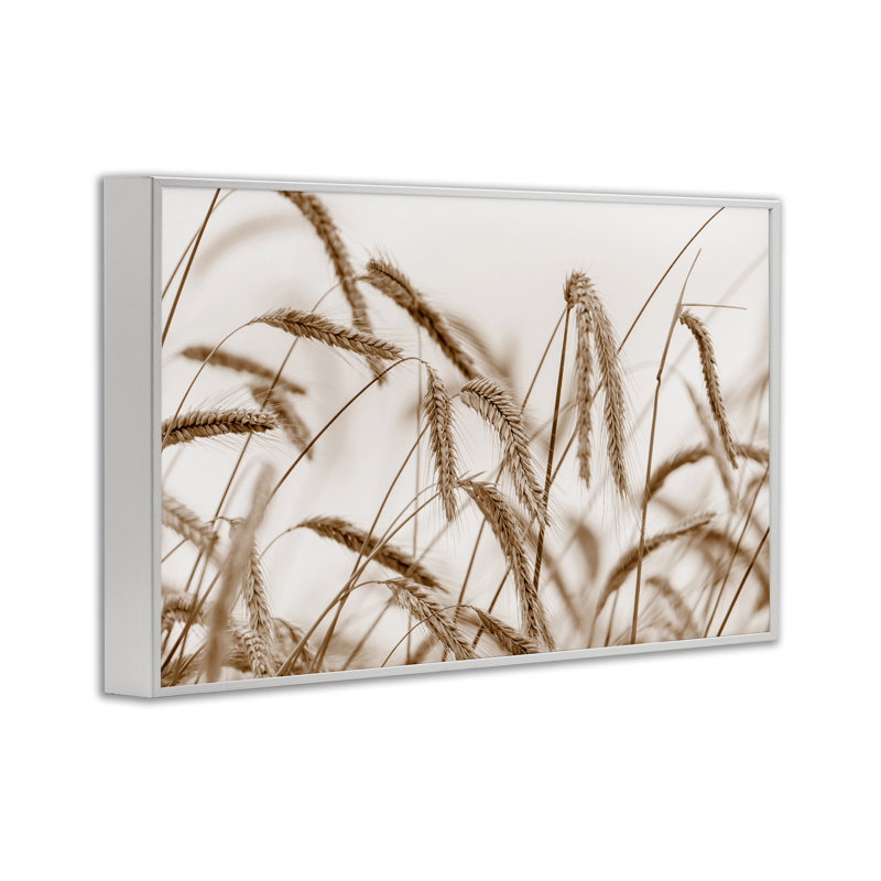 Art de giclée de blé à vent, giclée par Nancy Crowell, Estampe numérique encadrée blanc bord de mer, H 16 po x l 24 po