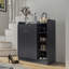 12 Pair Shoe Storage Cabinet