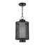 Lanterne suspendue d'extérieur Zebra-1154955271-1156041725