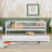 Buchheit Twin Daybed with Trundle by Red Barrel Studio®-1011438304