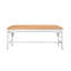 Asha Bench