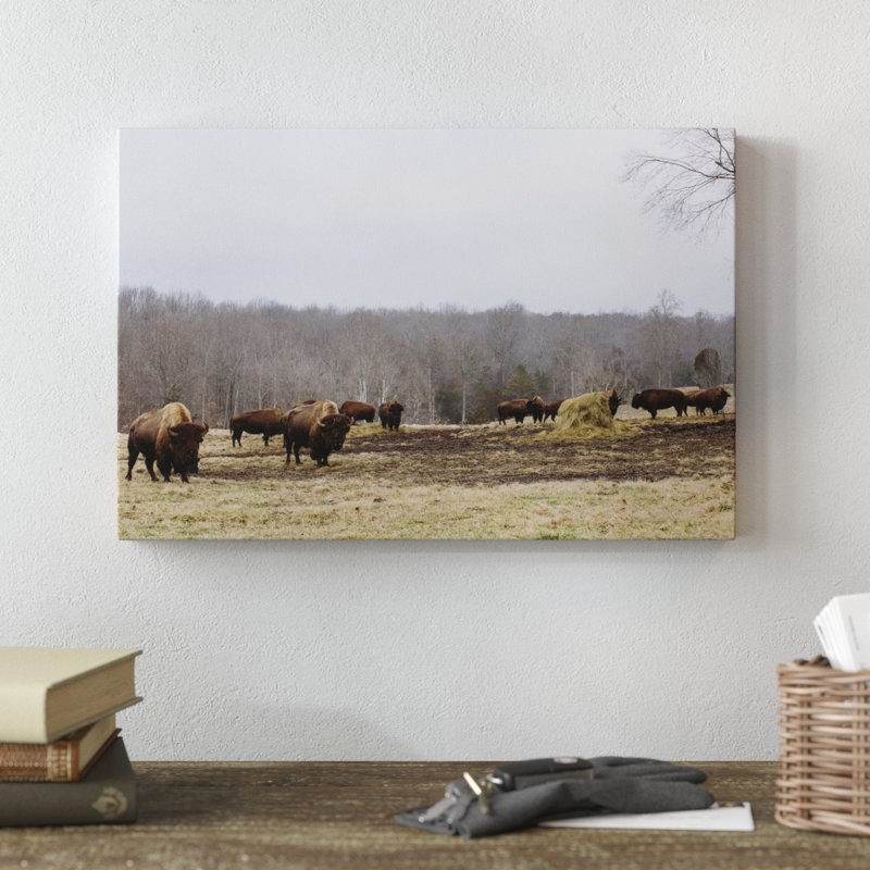 Farm Study VI by Adam Mead - Print on Canvas, Wrapped Canvas, 30cm H x 46cm W