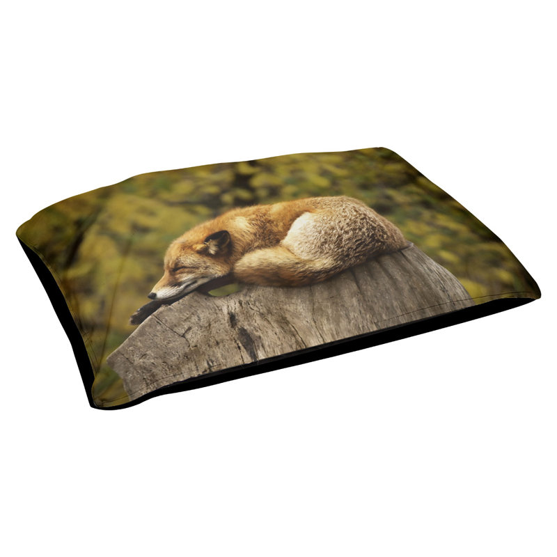 Coussin de lit pour l’extérieur pour le lit chat fox sleep Burien, L 19,5 po x l 29,5 po, Noir