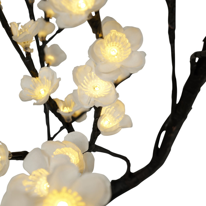 Bonsaïs illuminés et branches, Blanc