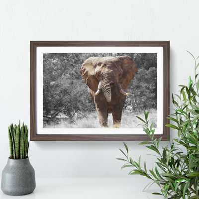 Elephant Vol.1 - Picture Frame Graphic Art