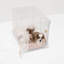 Caisse pour animaux de taille moyenne avec loquet doré-881226859-904310545-904310546