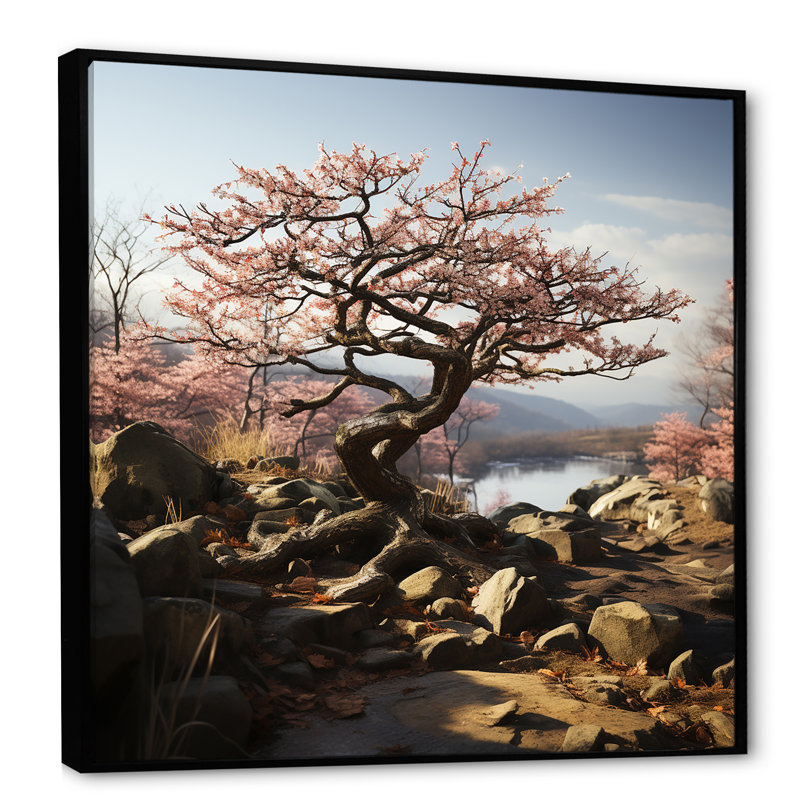 Bonsai serein au Japon sur toile, Cadre flottant noir, 36" H x 36" W
